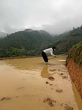 ThiHa003 online show from 04/02/26, 02:42