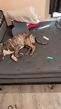 Snapshot of Cnutt310 chatting on 03/02/26, 12:02 Cnutt310 online show from 03/02/26, 12:02