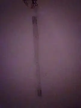 Snapshot of Bebita-zmp chatting on 03/28/26, 02:11 Bebita-zmp online show from 03/28/26, 02:11