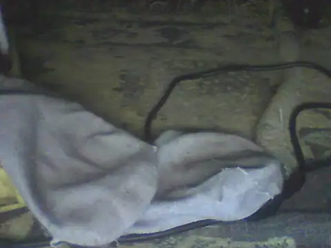 Bebita-zmp online show from 07/11/26, 04:32