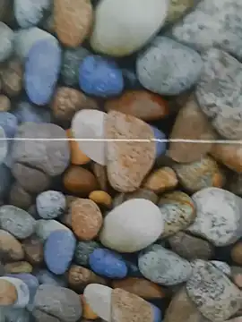 Snapshot of coocon2020 chatting on 10/28/25, 01:31 coocon2020 online show from 10/28/25, 01:31