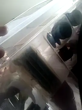 Isabella5 Brown  online show from 10/07/25, 02:36