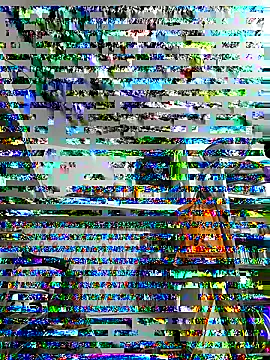 Snapshot of ISHANI-SINGH chatting on 11/29/25, 03:37 ISHANI-SINGH online show from 11/29/25, 03:37