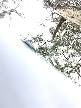 Thomasjons  online show from 04/14/26, 04:46