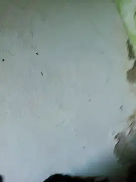 perversa068 online show from 02/04/26, 11:27