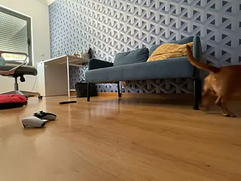 cumman789860 online show from 10/02/25, 02:35