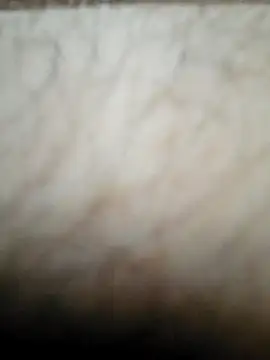 nikads0 online show from 05/19/26, 01:39