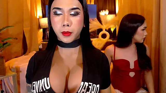TRANSPORNIDOL online show from 05/12/26, 05:21