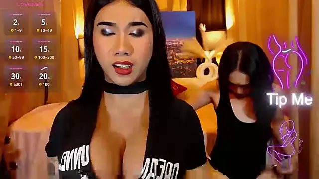 TRANSPORNIDOL online show from 05/22/26, 04:56