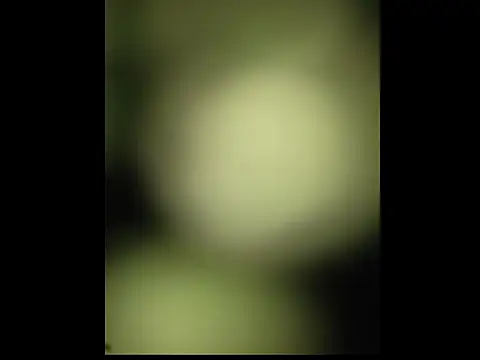 Snapshot of sobit1234 chatting on 10/18/25, 06:52 sobit1234 online show from 10/18/25, 06:52