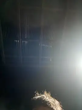 Snapshot of usu0130 chatting on 10/16/25, 02:07 usu0130 online show from 10/16/25, 02:07