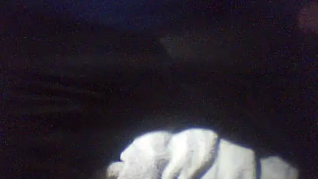 pietje1991 online show from 02/10/26, 01:10