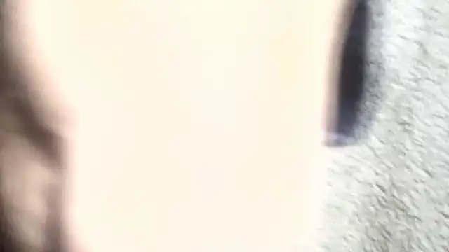 pietje1991 online show from 03/06/26, 01:18