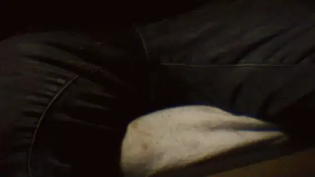 pietje1991 online show from 03/25/26, 10:27