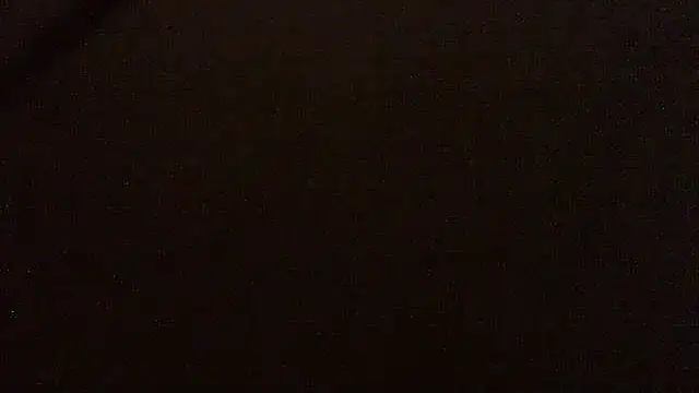 pietje1991 online show from 04/16/26, 01:50