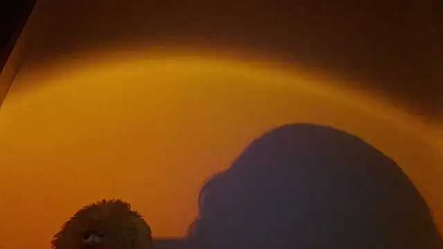 lia ana online show from 03/24/26, 05:34