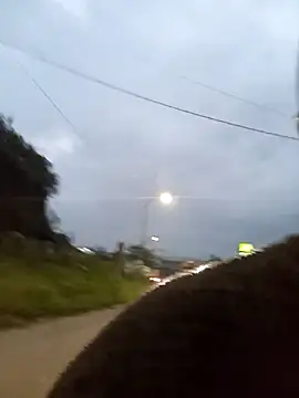 Fernandar2025 online show from 02/18/26, 11:06