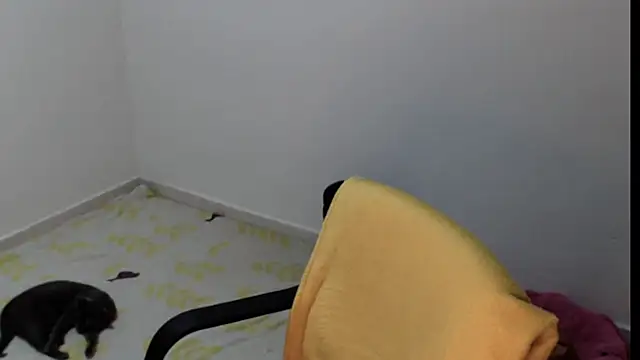 meganmiauu online show from 05/11/26, 04:04