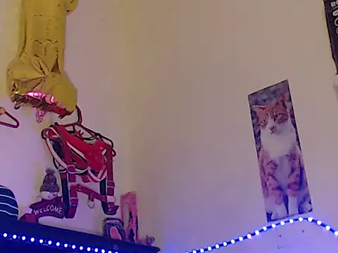 Npga96 online show from 04/17/26, 08:01