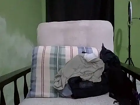 Snapshot of Ntshire chatting on 11/17/25, 11:43 Ntshire online show from 11/17/25, 11:43