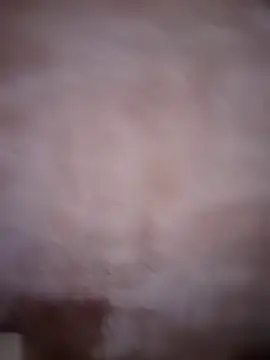 ddllrr224 online show from 12/16/25, 11:43