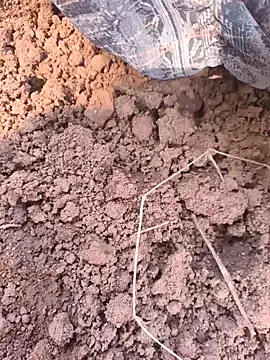 Hot raaani online show from 11/07/25, 06:13