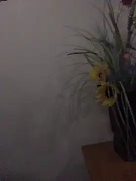 Snapshot of newjam chatting on 10/26/25, 08:09 newjam online show from 10/26/25, 08:09