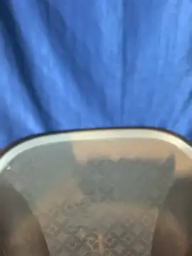 Rashi-48 online show from 11/17/25, 06:03