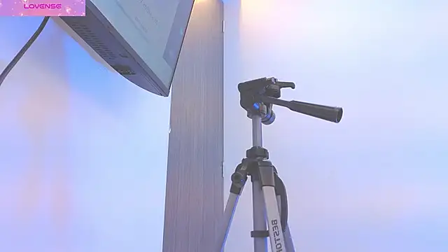 Daisy Price online show from 03/18/26, 11:02