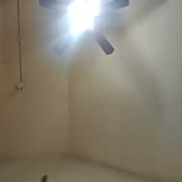 Snapshot of Tclarke93 chatting on 11/12/25, 05:52 Tclarke93 online show from 11/12/25, 05:52