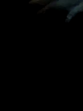 Snapshot of pollitaloca123 chatting on 11/07/25, 09:04 pollitaloca123 online show from 11/07/25, 09:04