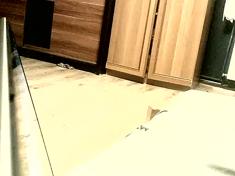 KissMeAss9387 online show from 09/28/25, 07:08