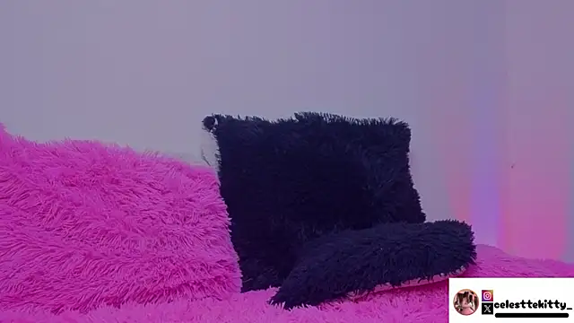 celestte evans 1 online show from 04/11/26, 06:40