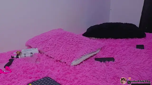 celestte evans 1 online show from 07/11/26, 04:37