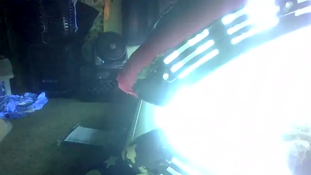 TWiSTYTheTwizted online show from 06/10/26, 02:34