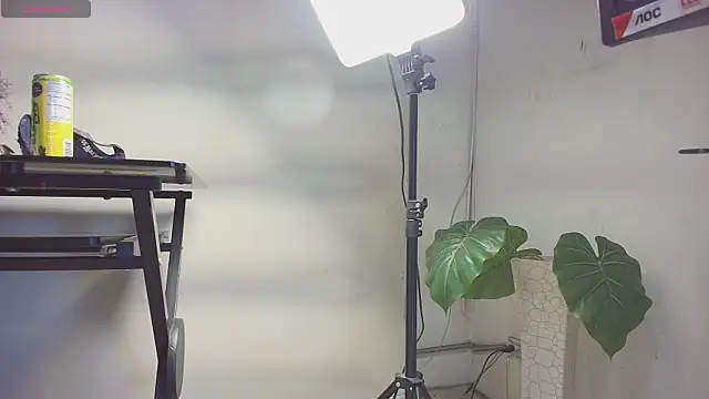 Snapshot of sakuramoss chatting on 10/24/25, 06:43 sakuramoss online show from 10/24/25, 06:43