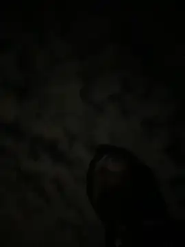 theone3121 online show from 10/15/25, 11:43