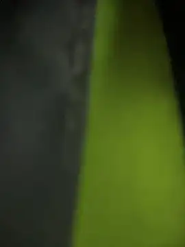 theone3121 online show from 02/12/26, 12:27