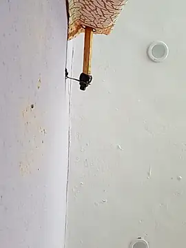 funcreat online show from 09/11/25, 11:54