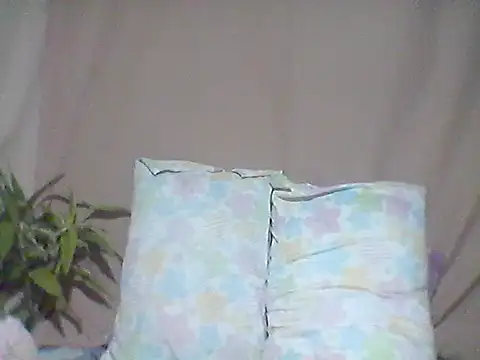 Snapshot of 66pineapple chatting on 10/08/25, 12:47 66pineapple online show from 10/08/25, 12:47