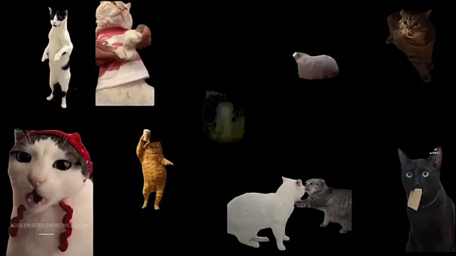 ch0wn m online show from 11/19/25, 12:38