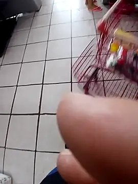 cicinha3657 online show from 02/20/26, 06:30