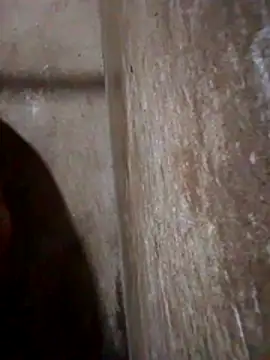 Lujor online show from 03/13/26, 11:44