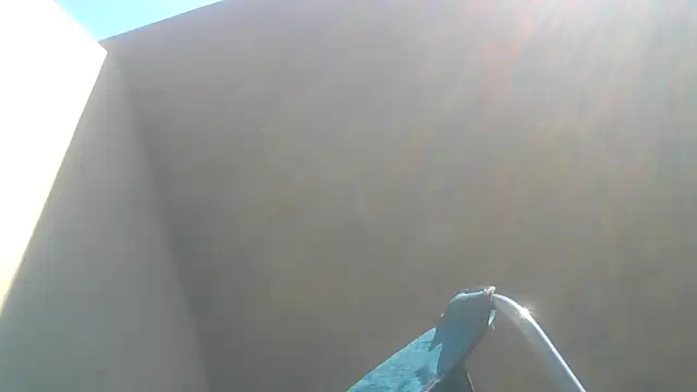 cuminsidebby online show from 06/01/26, 07:54