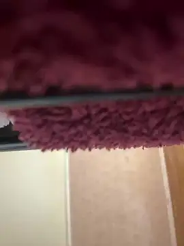 bb empress online show from 09/26/25, 07:12