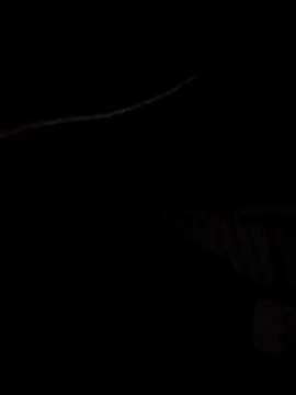 Xharmakesyoufeelorgasms online show from 10/19/25, 12:11