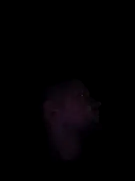 Mumuska online show from 12/03/25, 10:52