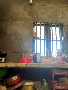 Sunny lotus online show from 12/01/25, 05:34