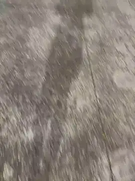 Foxfoxfox4 online show from 11/28/25, 01:03