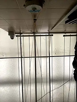 Snapshot of Sallem_Pink chatting on 01/16/26, 11:25 Sallem Pink online show from 01/16/26, 11:25